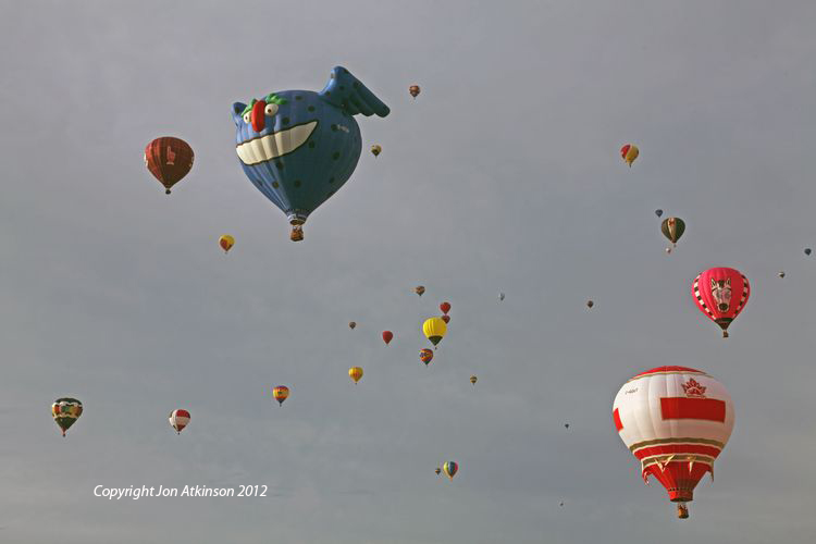 Various Balloons hang in the air.
